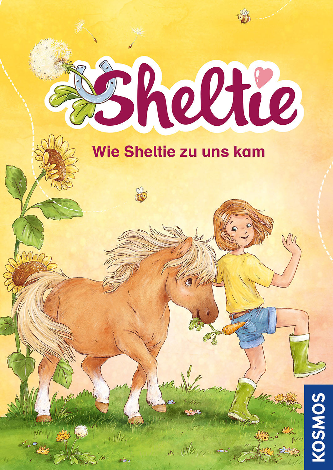 Sheltie - How Sheltie came to us
