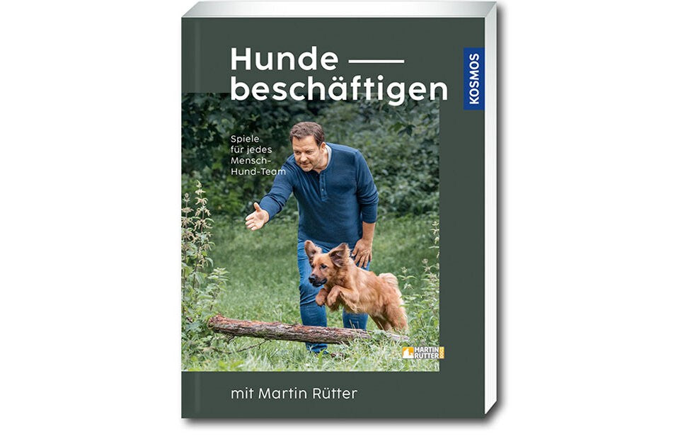 Zusammen spielen – gemeinsam Spaß haben