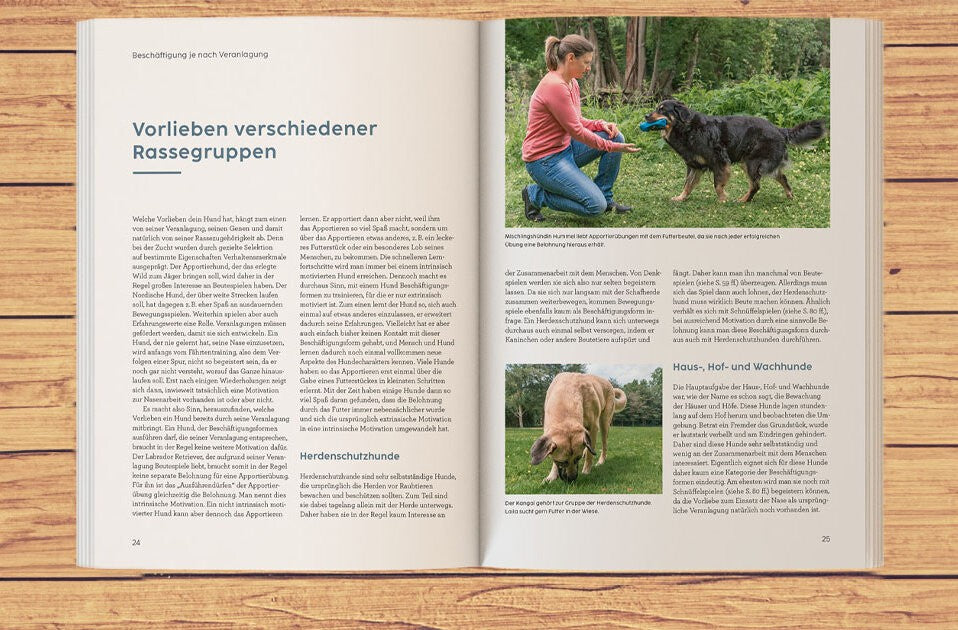 Aufbau des Hundetrainings