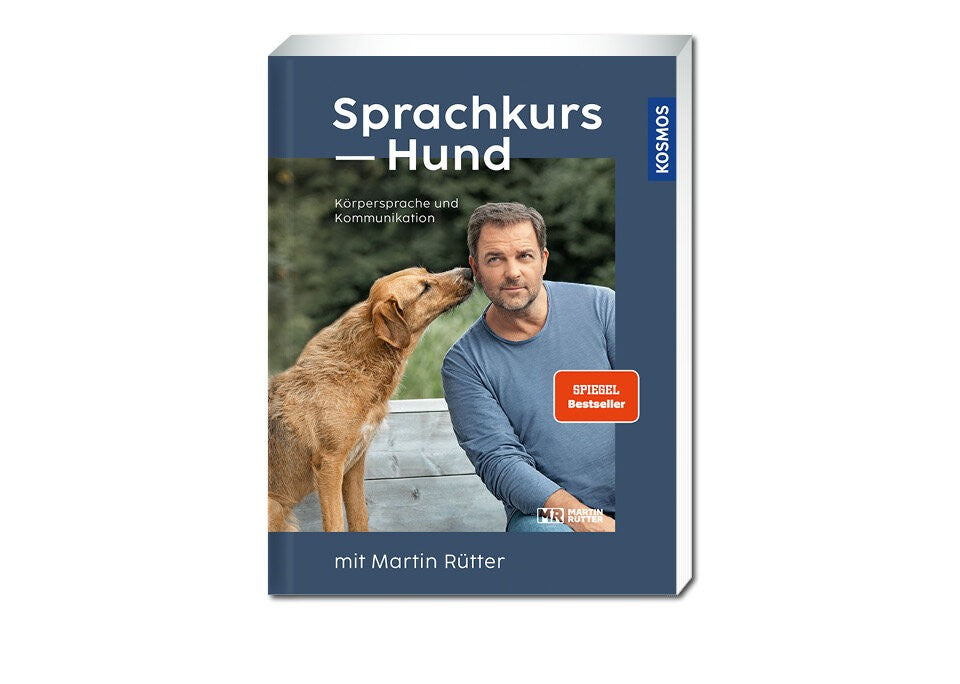 Hundeverhalten verstehen