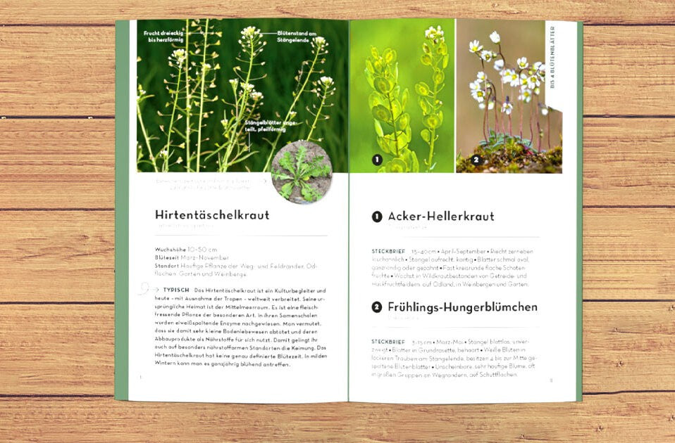 Einfach und sicher bestimmen