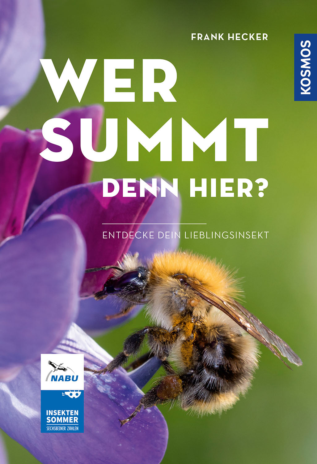 Who's buzzing here? - Insect Summer