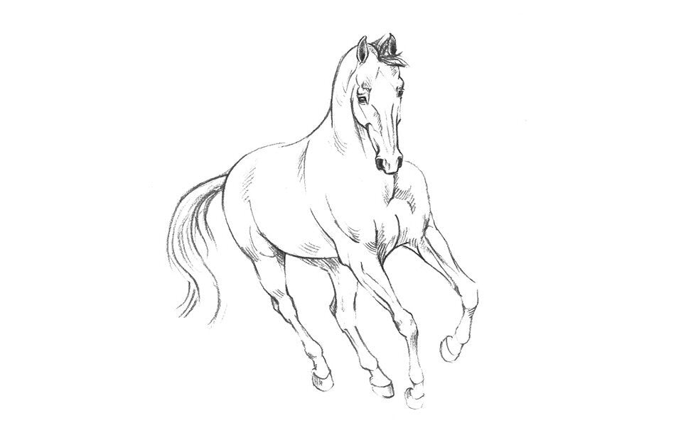 Über die Autorin