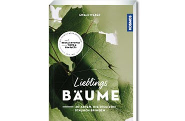 40 Arten, die dich zum Staunen bringen