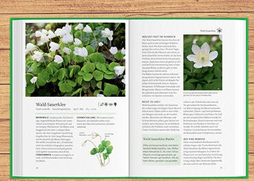 Essbare Naturschätze sammeln