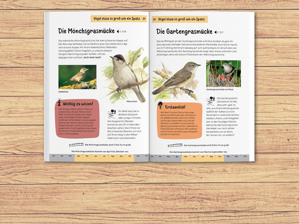 Welcher Gartenvogel ist das? Kindernaturführer Banner