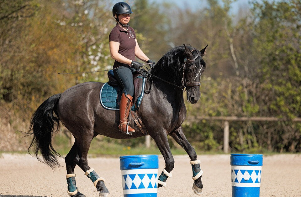 Vielfalt für dein Reittraining