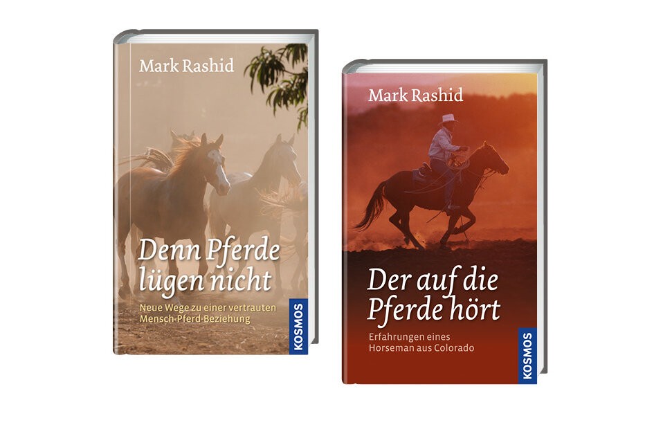 Wie kam es zu diesem Buch?
