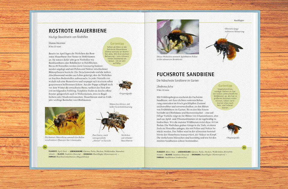 Lebensgroße Einblicke in die Gartenwelt