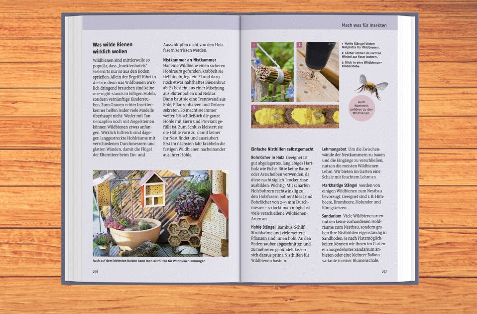 So klappt´s mit dem Artenschutz im eigenen Garten