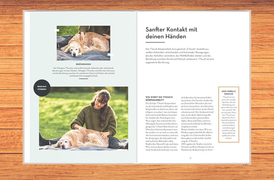 Verändere die Beziehung zu deinem Hund