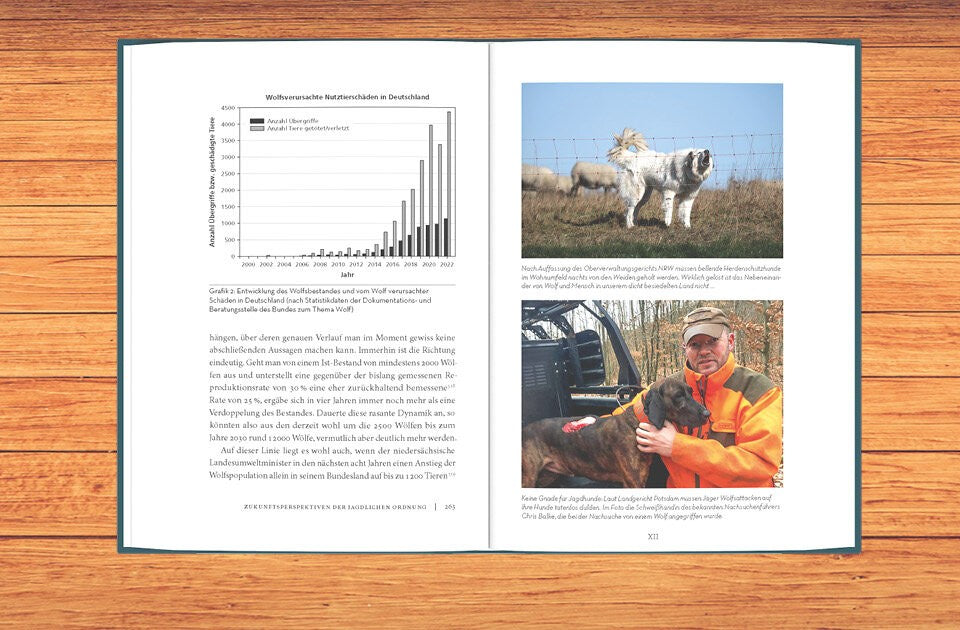 „Selbstregulierung der Natur“ und Wolf statt Jagd?