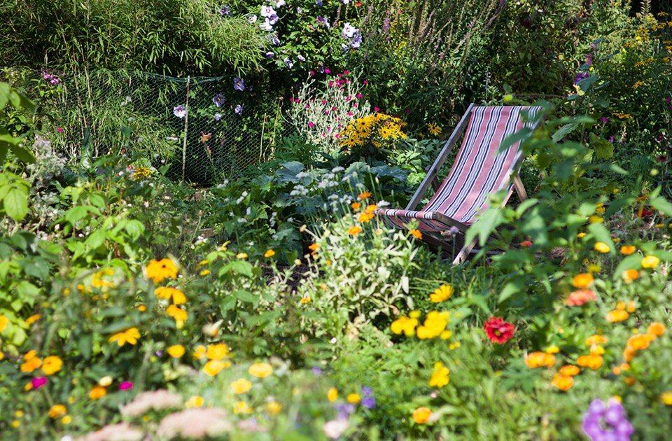 Mit Expertenwissen durchs Gartenjahr