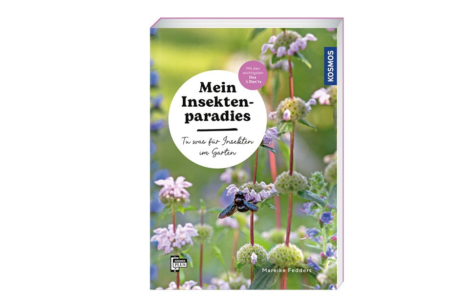 Bunte Vielfalt für deinen Garten
