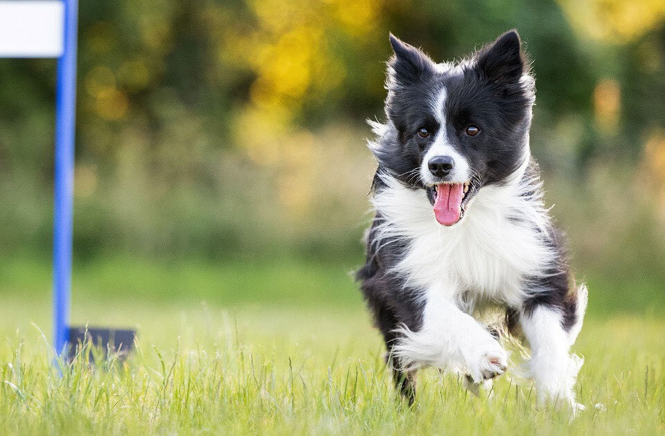 Was ist Curving?