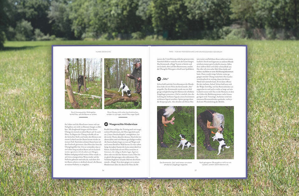 Tipps & Tricks für viele Bereiche um den Hund