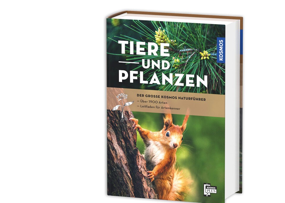 Mehr Natur geht nicht!
