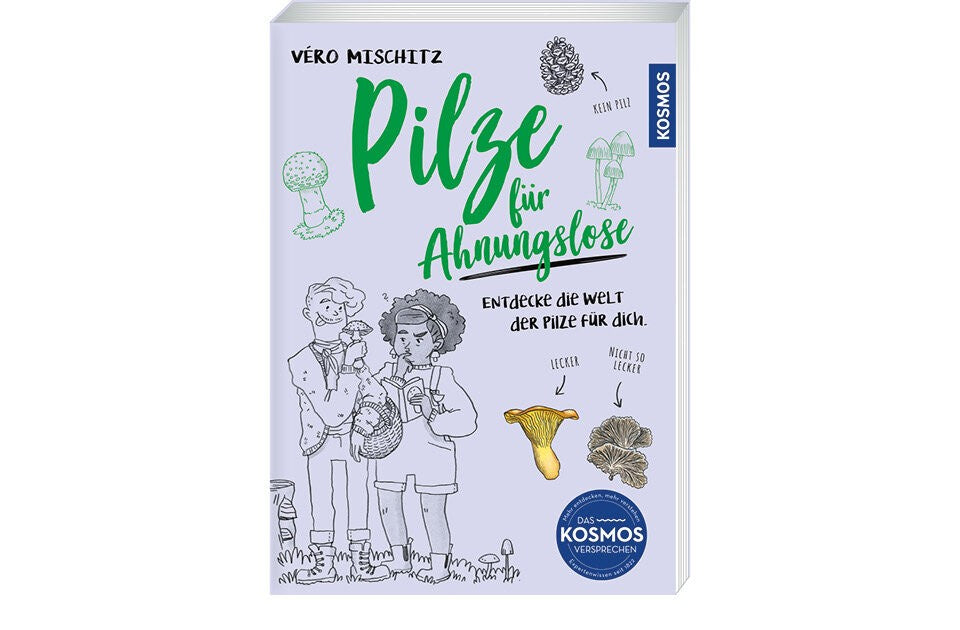 Warum ausgerechnet Pilze?