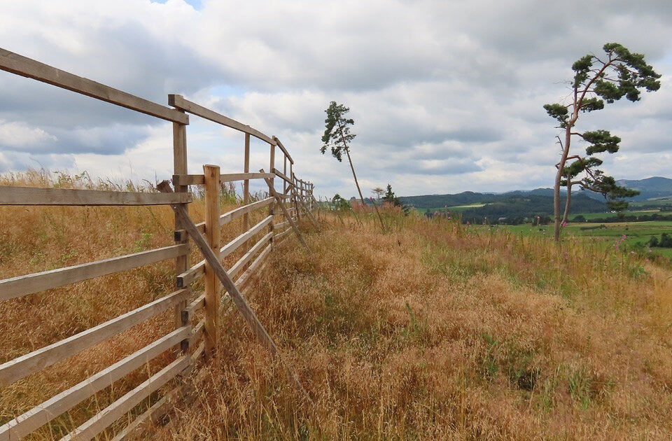 Wildschadensverhütung – durch Planung und Technik