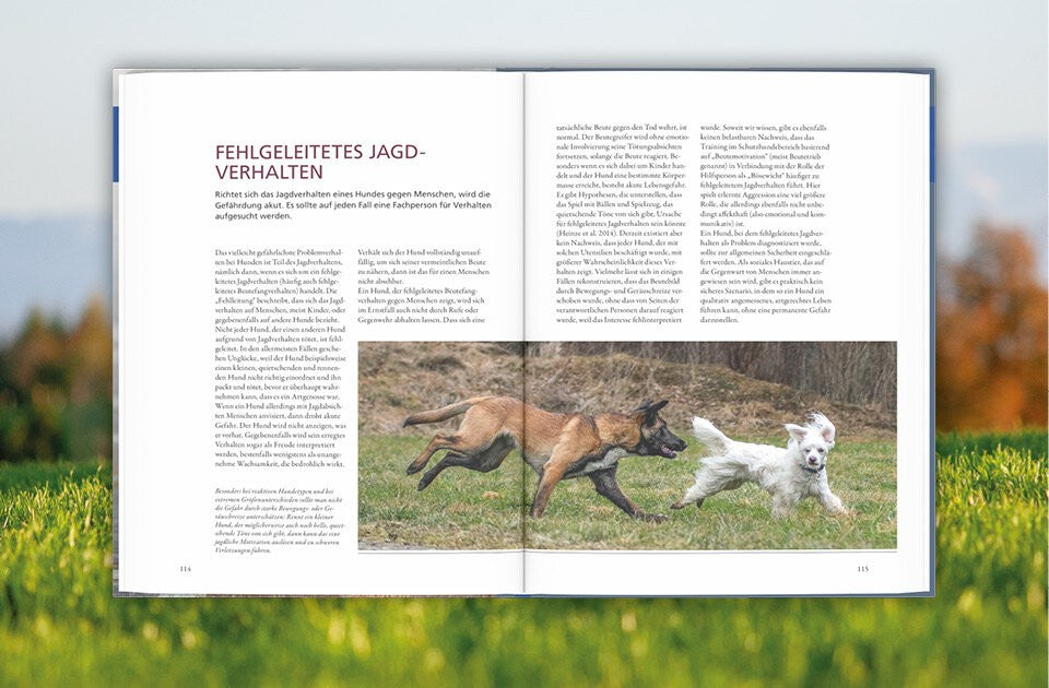 Wissen, das im Alltag hilft