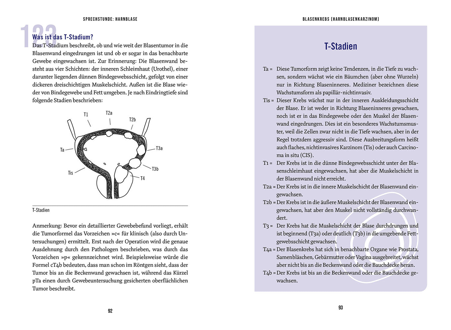 In the Consultation: Urinary Bladder; Understanding - Treating - Healing