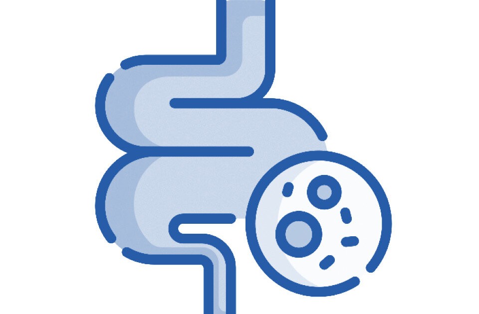 Wenn der Darm leidet: Leaky Gut und SIBO erklärt