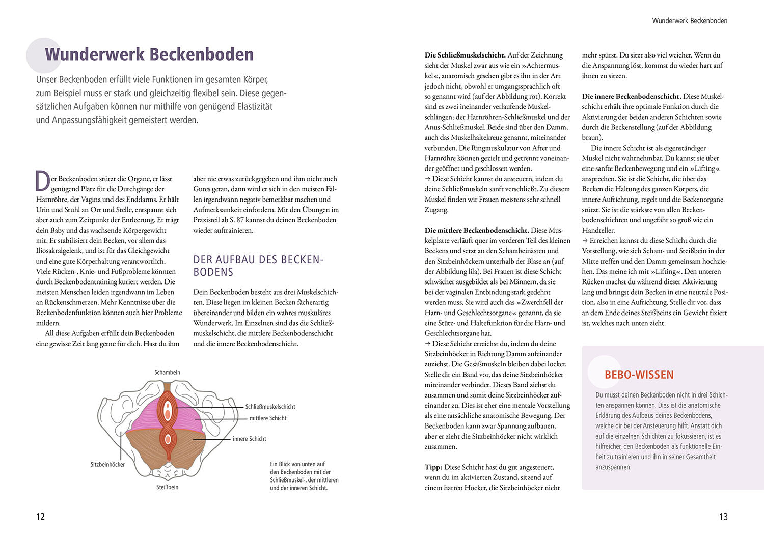 My Pelvic Floor, Menopause, and I