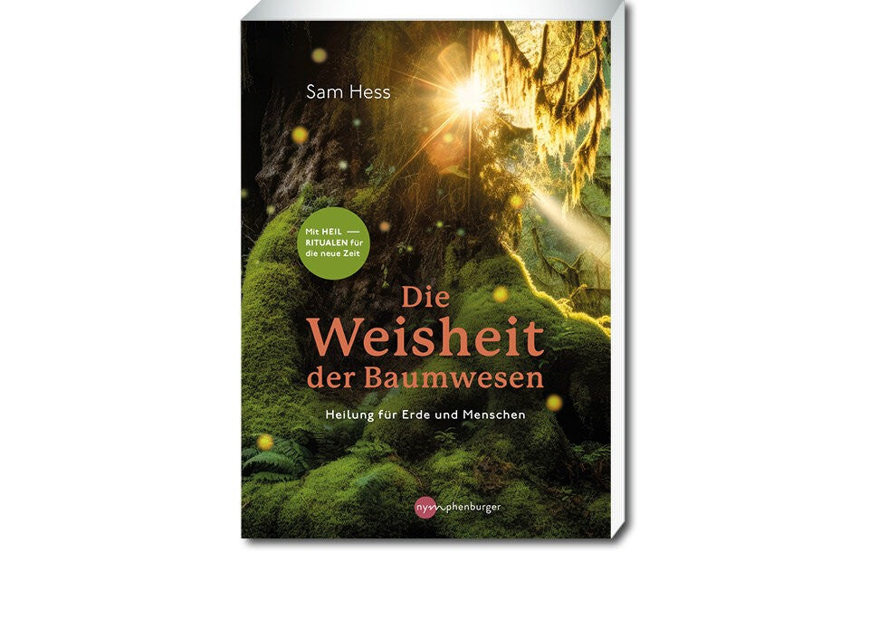 Das Wesen der Bäume verstehen lernen