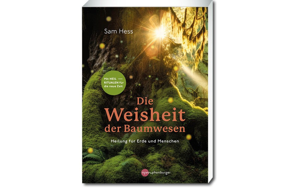 Das Wesen der Bäume verstehen lernen