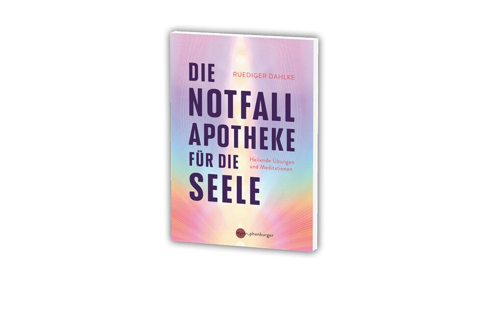 Die Botschaften der Seele verstehen