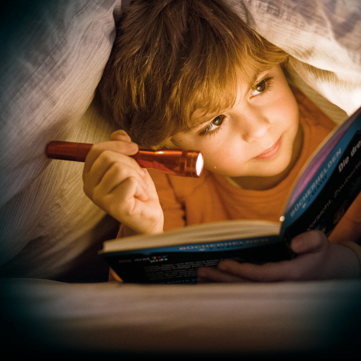 Lesen lernen mit Naturrätseln, Bücherhelden 2. Klasse, heimische Vögel Banner