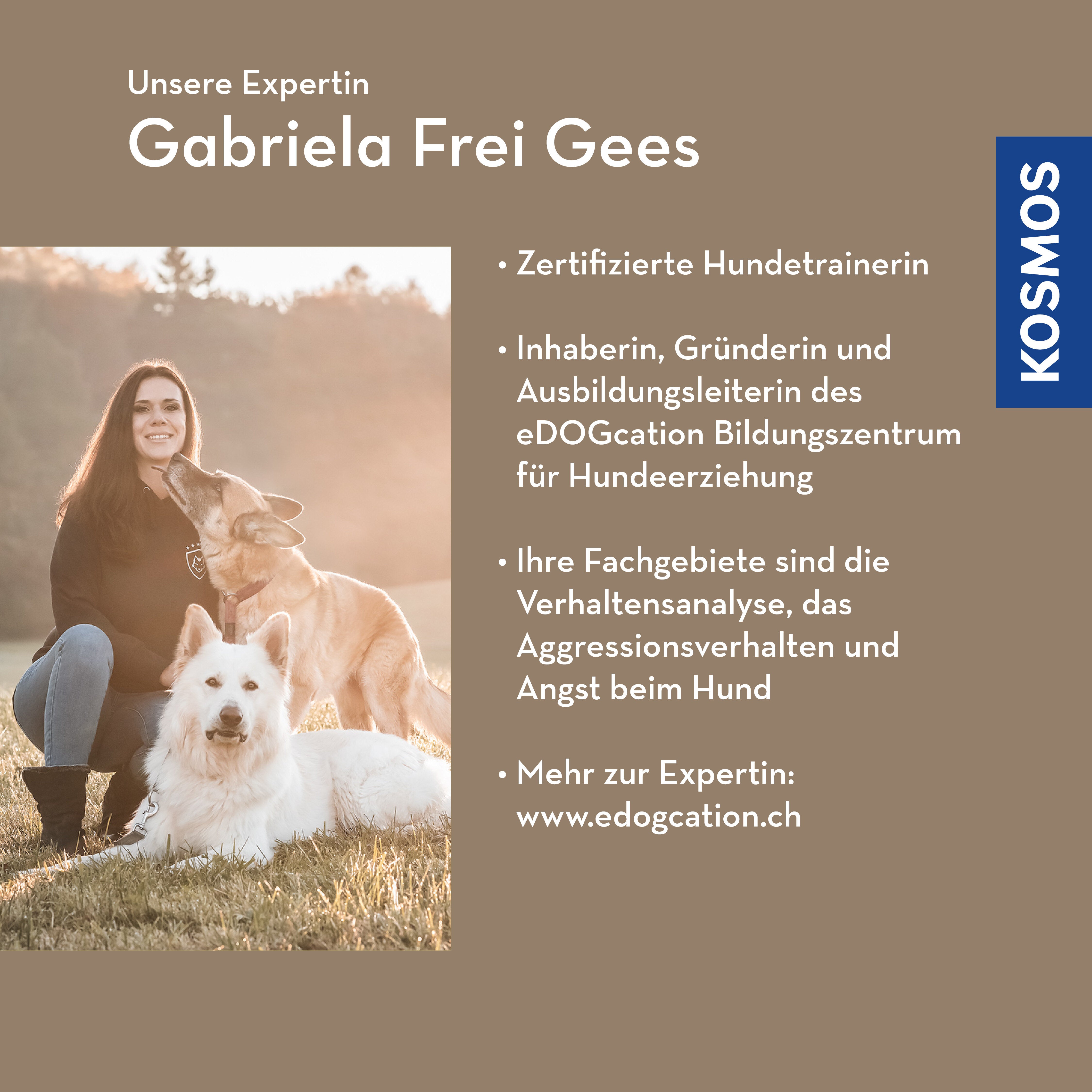 Leben am Limit – Wenn Hunde im Alltag permanent überfordert sind
