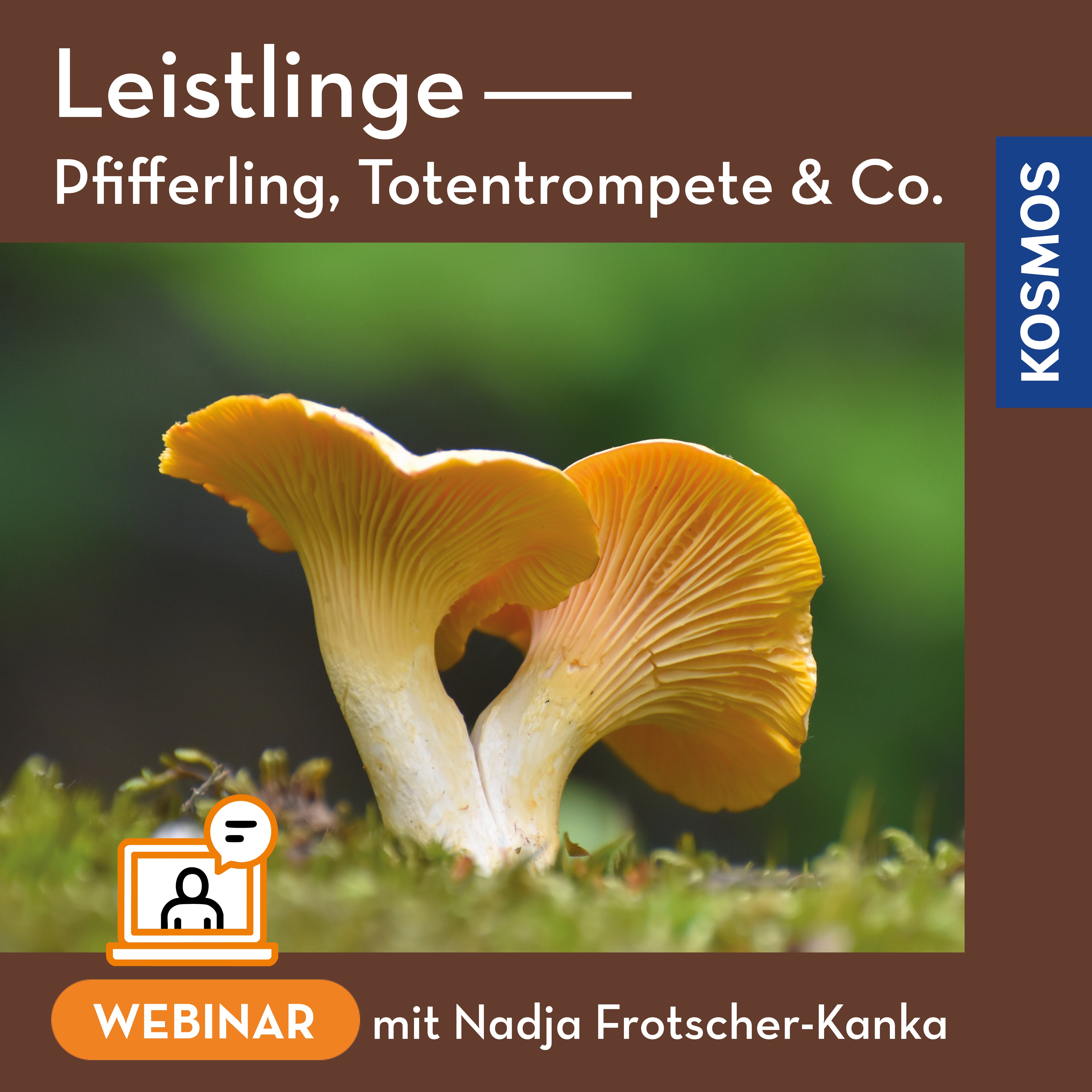 Leistlinge – Pfifferling Totentrompete & Co.