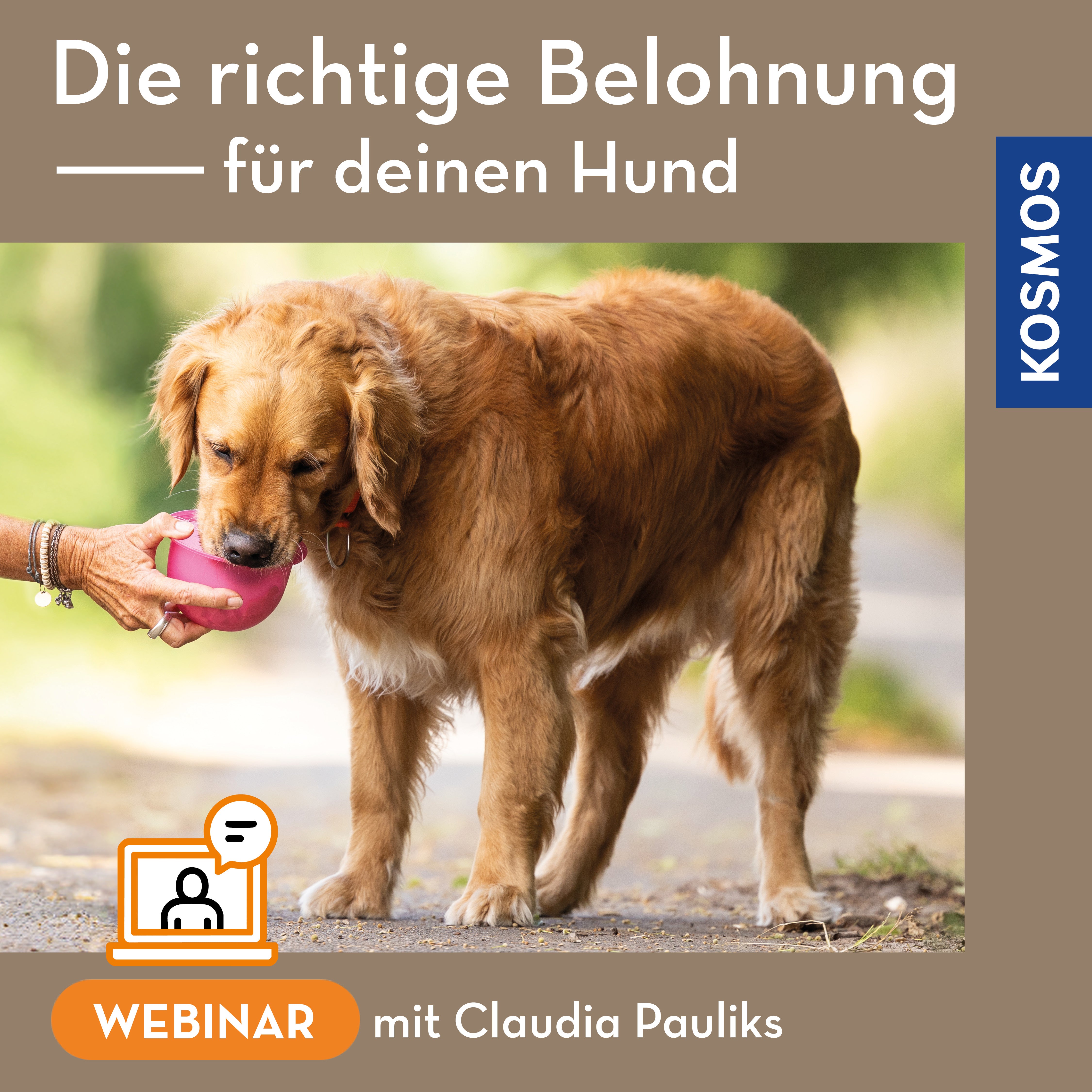 Die richtige Belohnung für deinen Hund