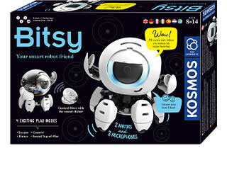 Bitsy