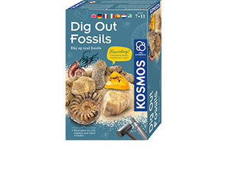 Dig Out Fossils