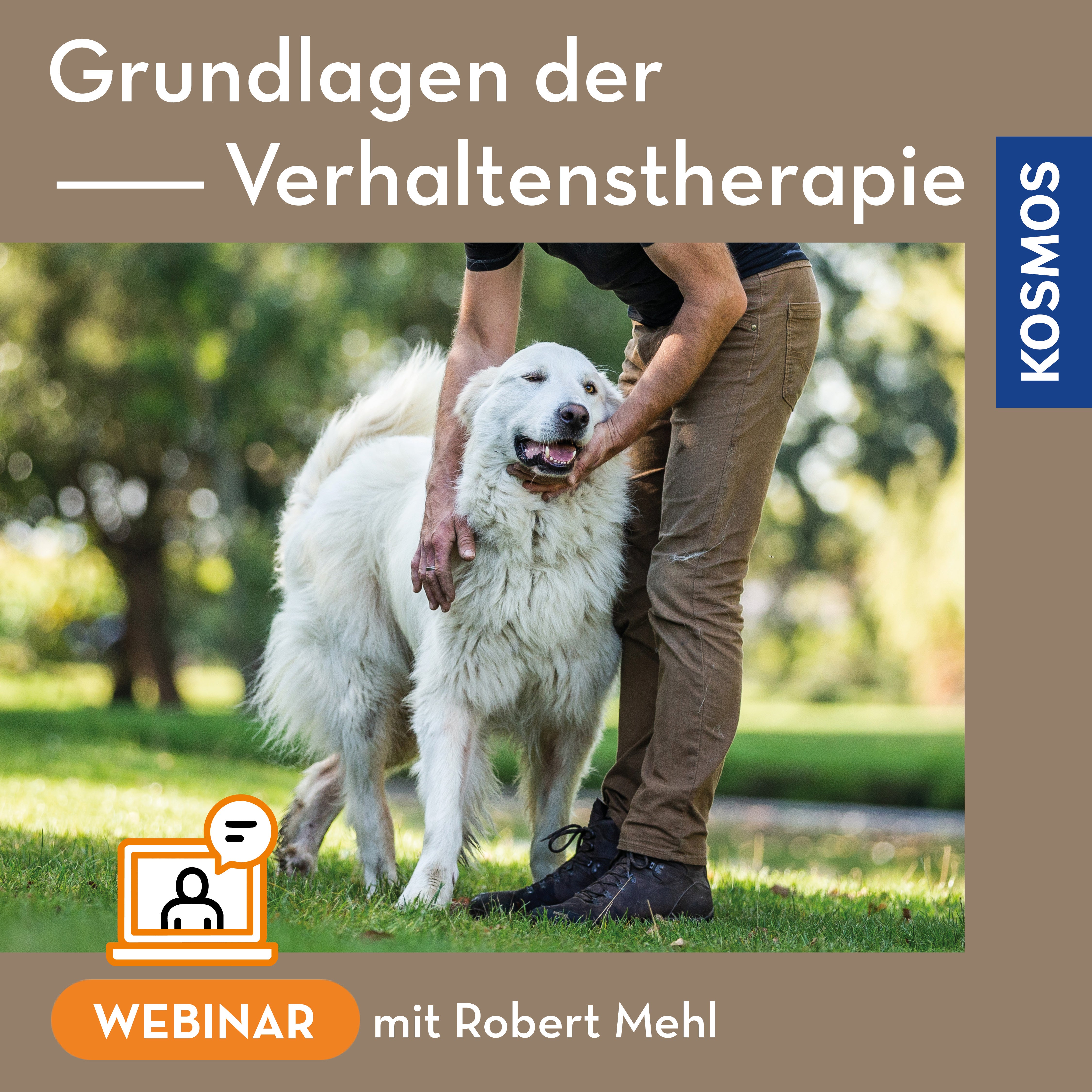 Grundlagen der Verhaltenstherapie