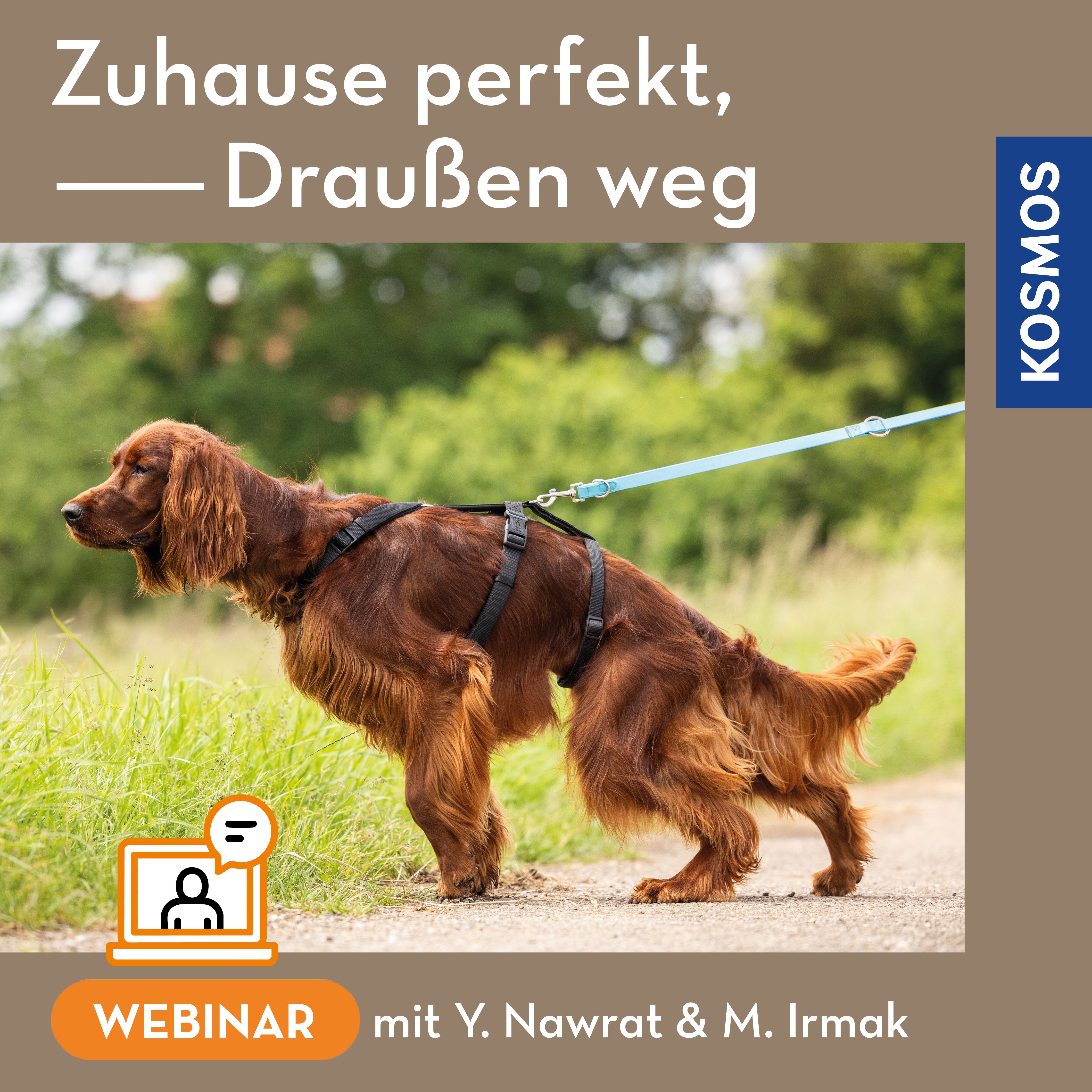 Zuhause perfekt, draußen weg