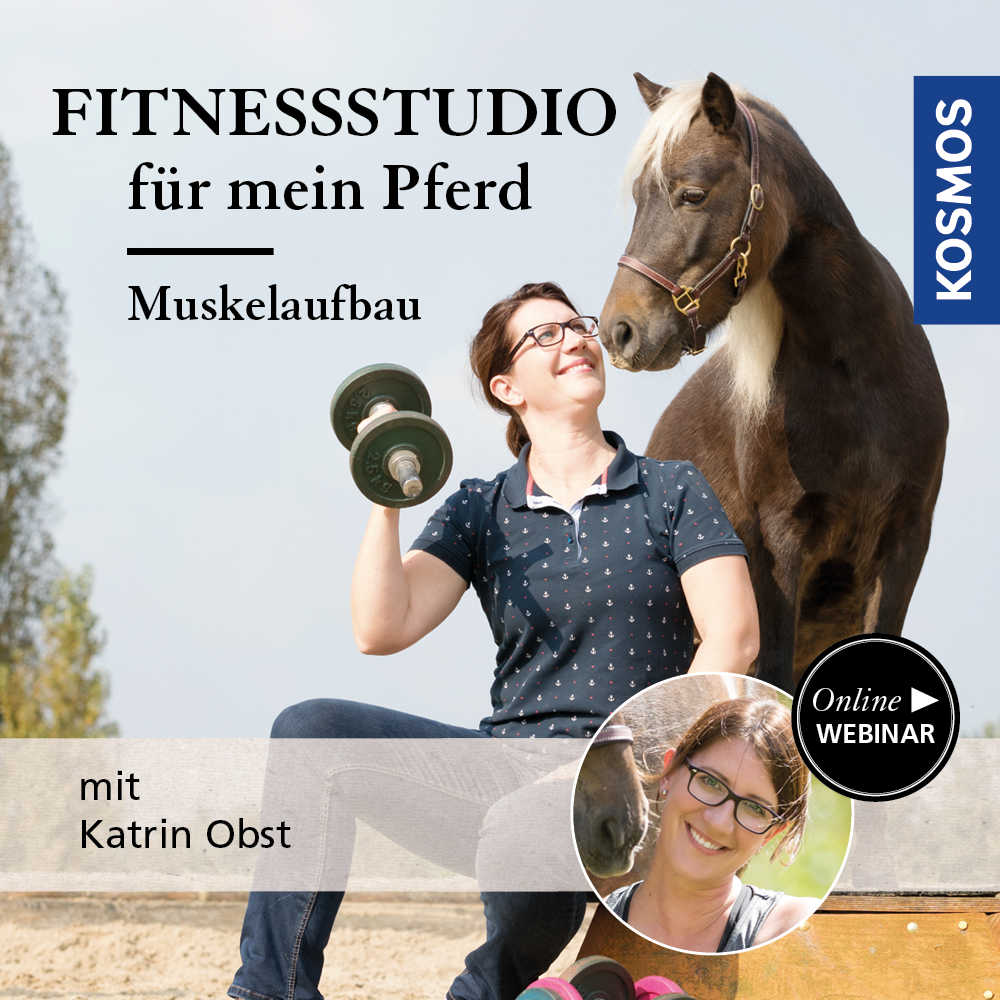 Fitnessstudio für mein Pferd: Muskelaufbau – wie und warum?