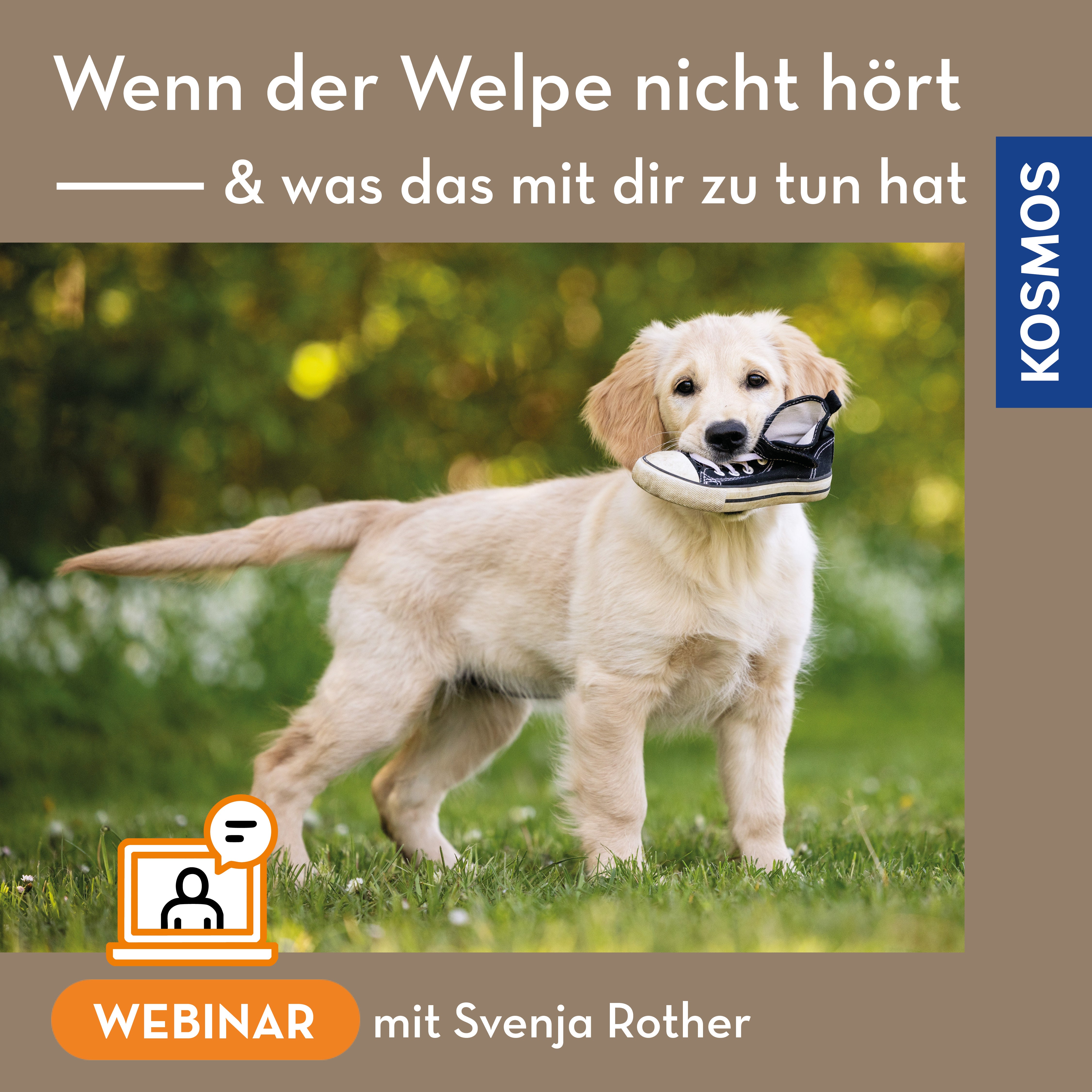 Wenn der Welpe „nicht hört“ – und was das mit dir zu tun hat