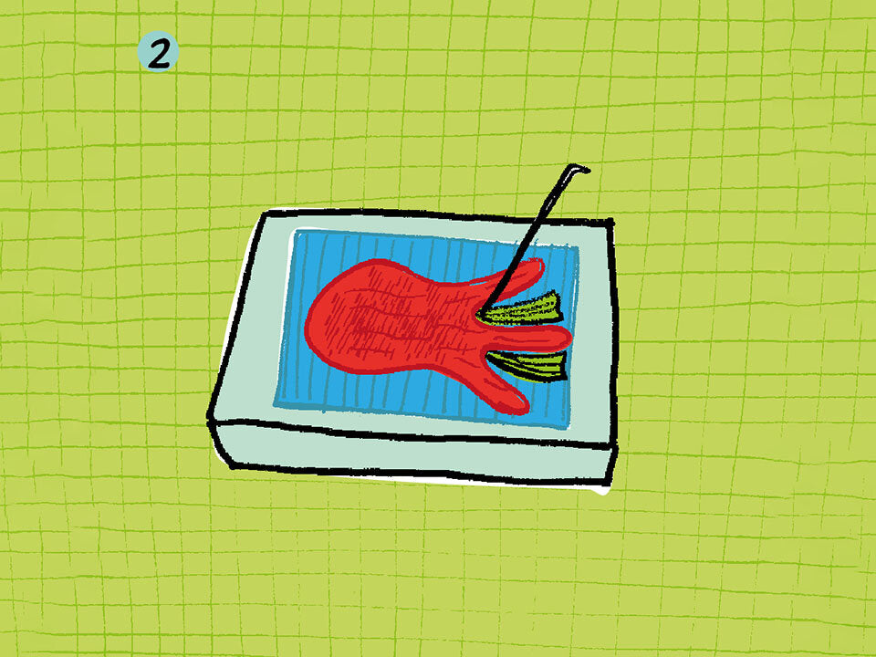Schritt 2: Fischform filzen