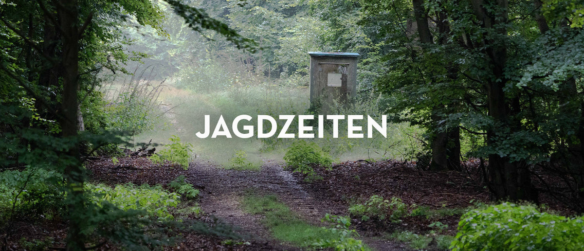Bild Wald für Jagdzeiten nach Bundesland