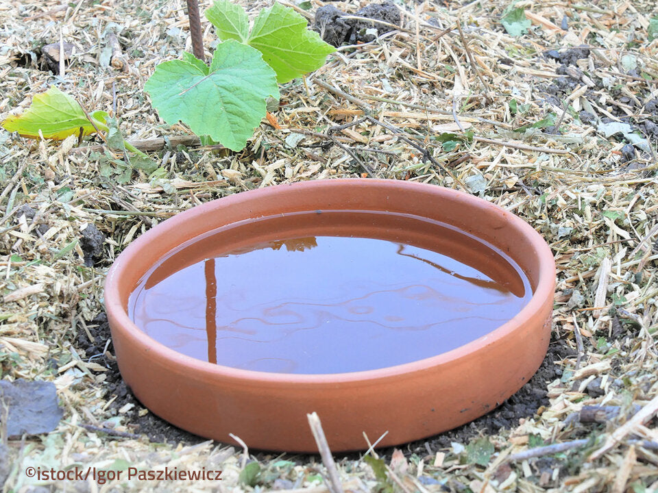 Trockenheit & andere Wetterextreme im Garten erfolgreich meistern