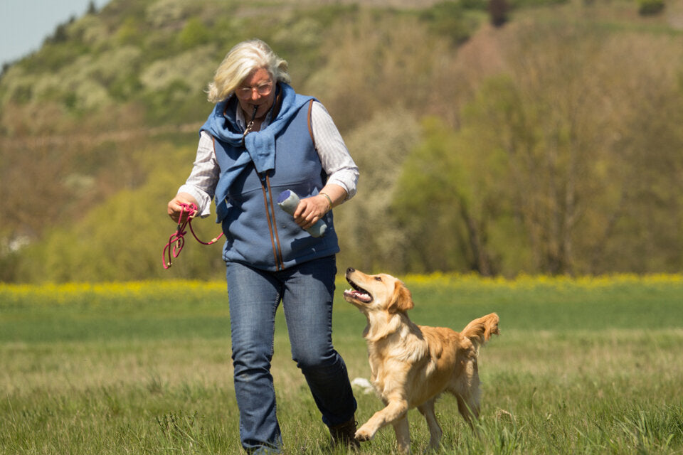 Motivation des Hundes