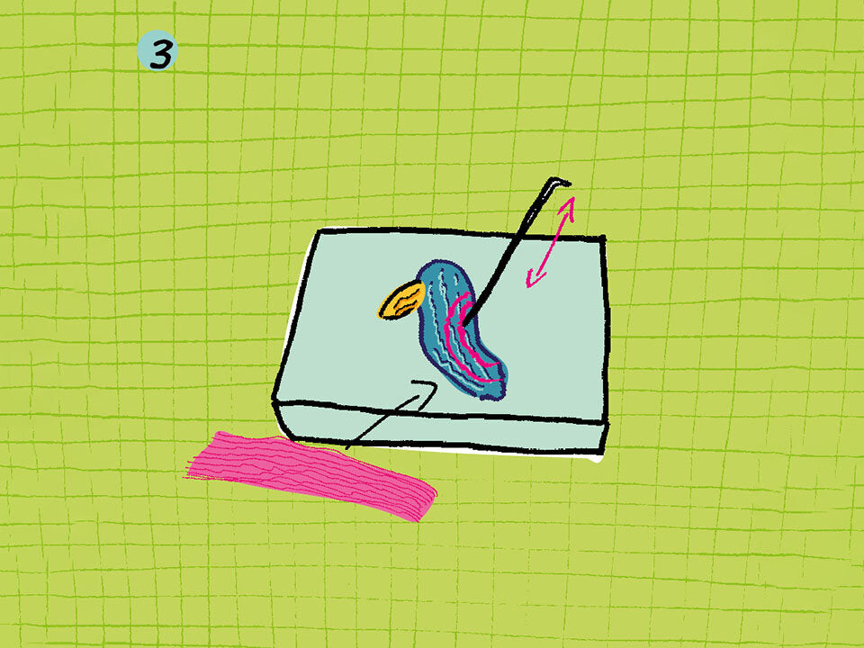 Schritt 3: Flügel filzen