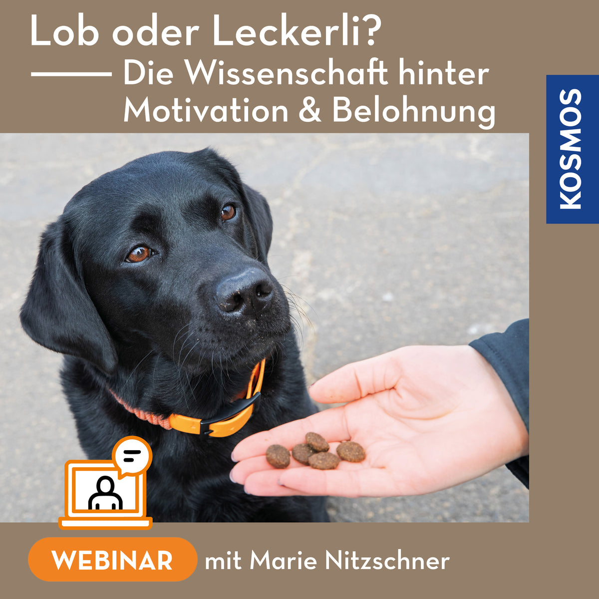 Lob oder Leckerli? Die Wissenschaft hinter Motivation und Belohnung