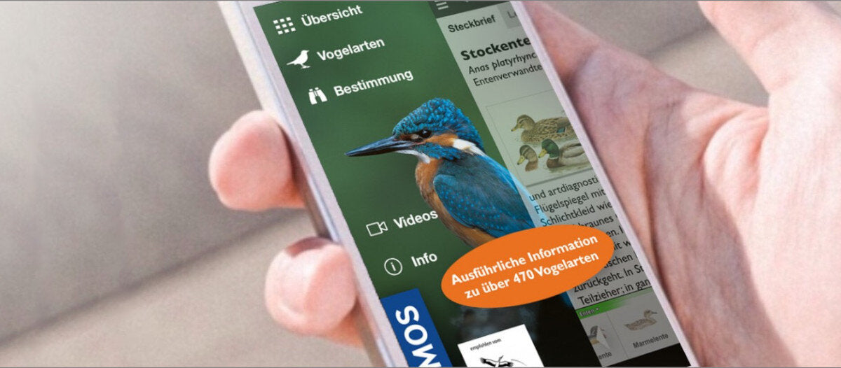 KOSMOS Apps