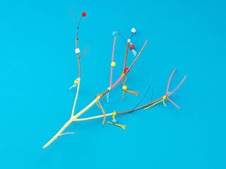 Wunderbaum